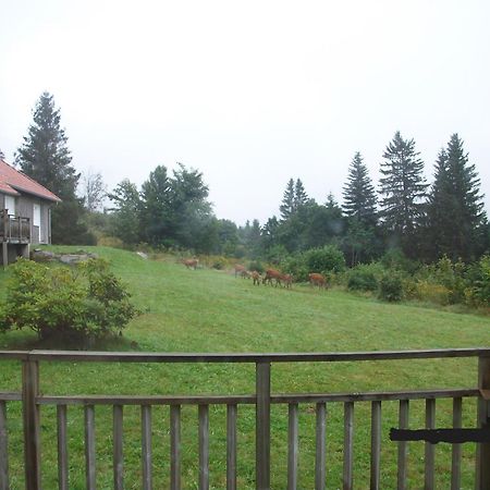 Les Angeliques Daire Gérardmer Dış mekan fotoğraf