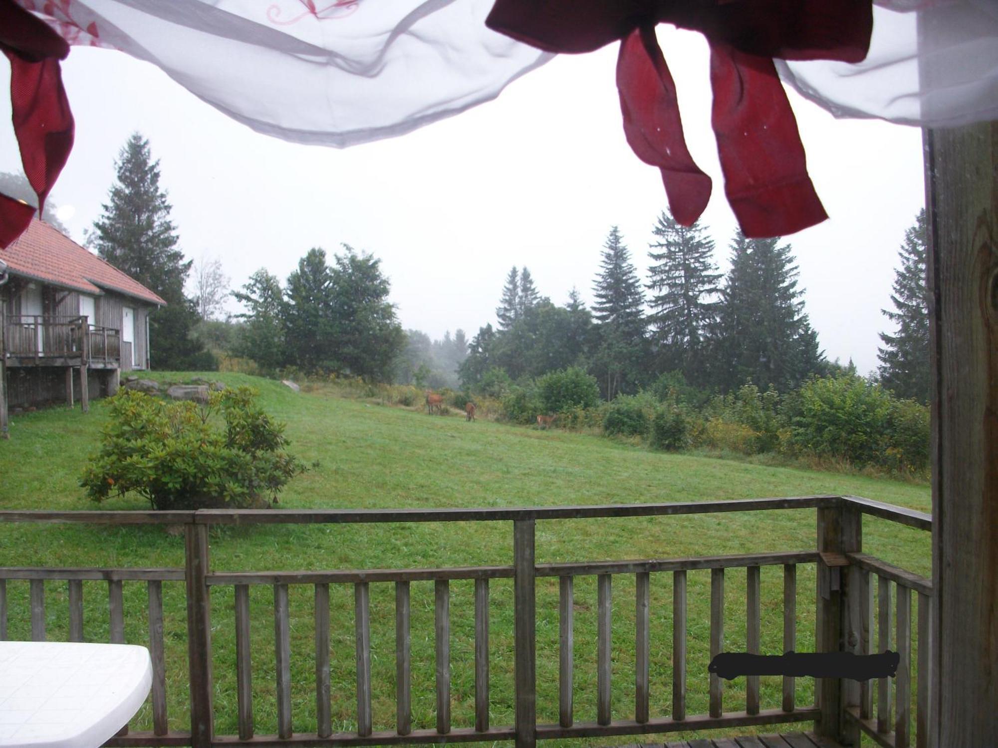 Les Angeliques Daire Gérardmer Dış mekan fotoğraf